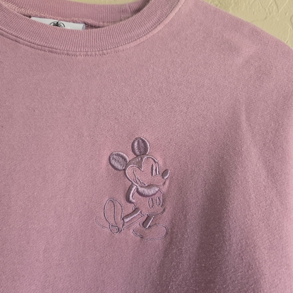 Disneyland Resort 50th Anniversary Spirit Jersey Sweatshirt Medium - Picture 3 of 11